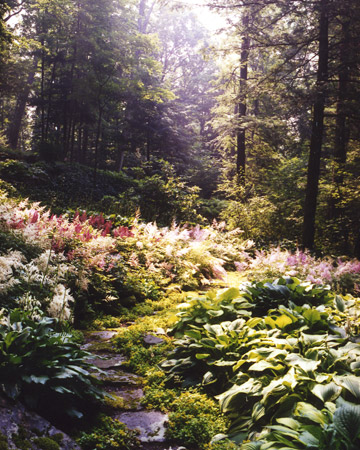 wild-garden-inspiration-naturalness7.jpg wild-garden-inspiration-naturalness7.jpg