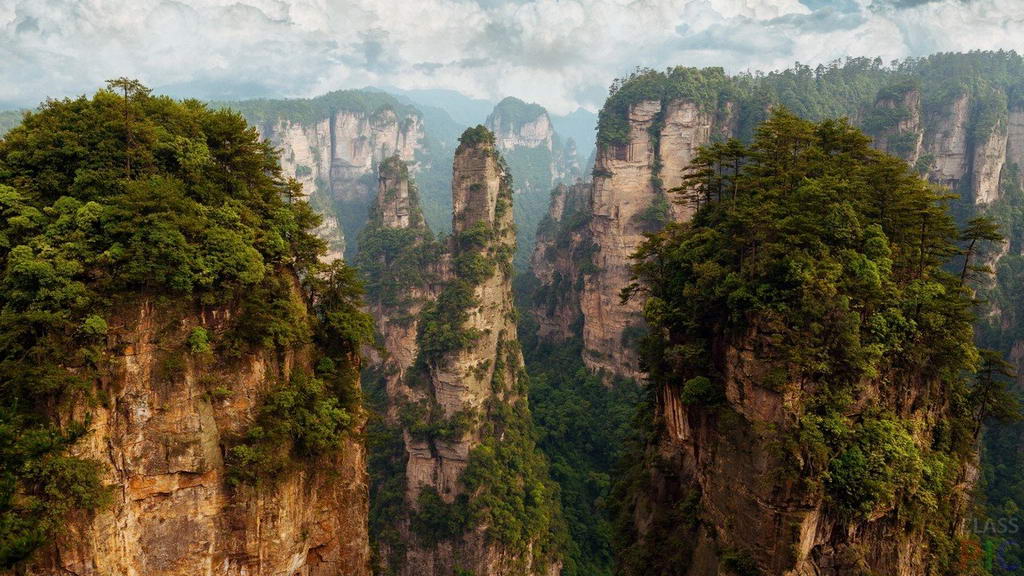 Топ 10 самых красивых лесов на планете Топ 10 самых красивых лесов на планете природа