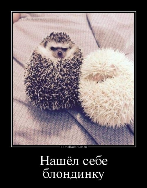 Демотиваторы для настроения Демотиваторы для настроения