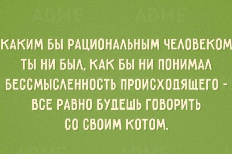 original.jpg#20932821066