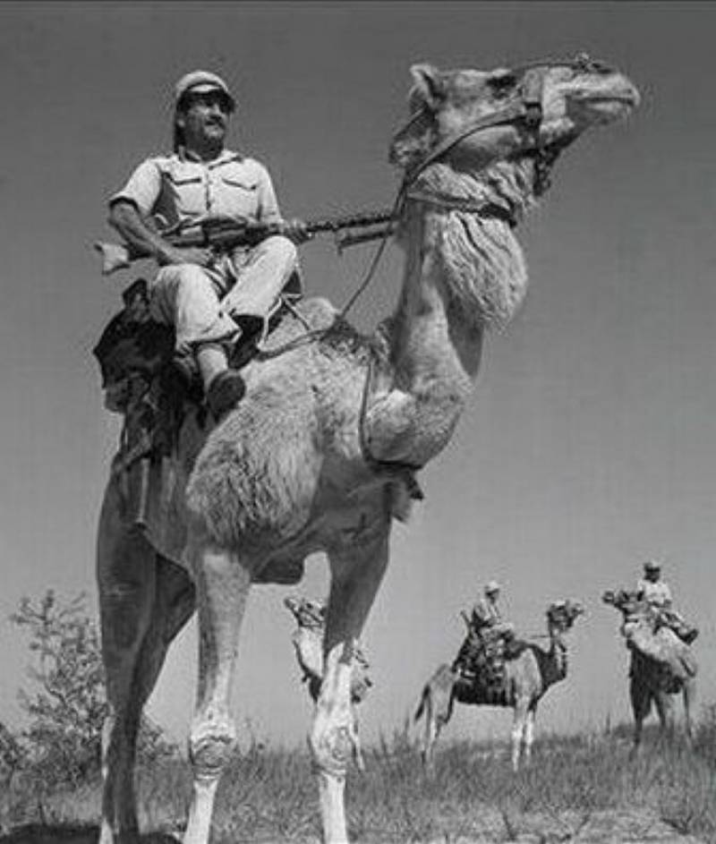 Служба и боевое применение трофейных немецких пулемётов после окончания Второй мировой войны Служба и боевое применение трофейных немецких пулемётов после окончания Второй мировой войны оружие