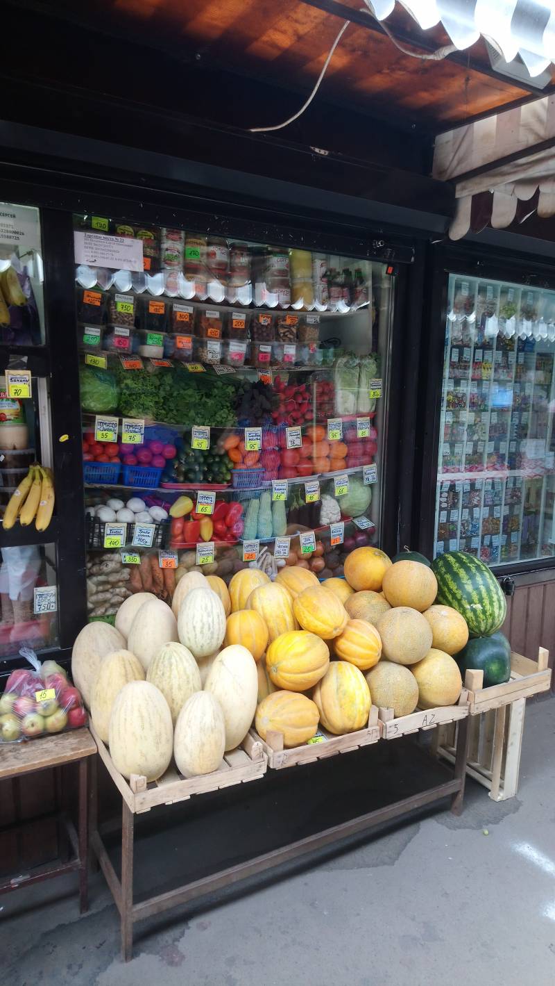 Записки Колорадского Таракана. А мы опять… заболели! Записки Колорадского Таракана. А мы опять… заболели! украина