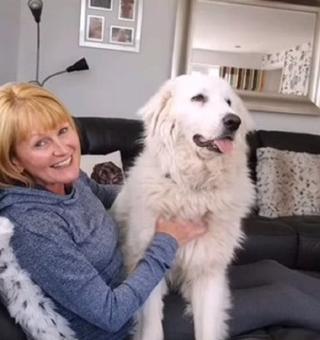 Собака и женщина