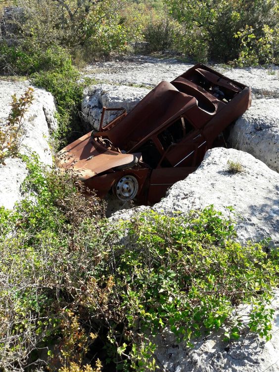 Подборка добрых и весёлых картинок №72 Подборка добрых и весёлых картинок №72 отдых