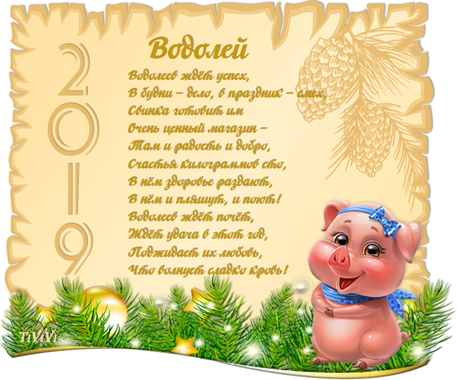   2019