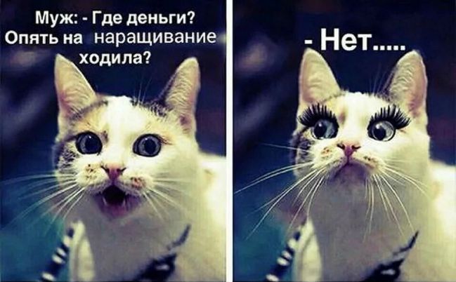 Анекдоты от «Рассмеши мозг» читай тихо — пусть все думают, что ты работаешь) Анекдоты от «Рассмеши мозг» читай тихо — пусть все думают, что ты работаешь)