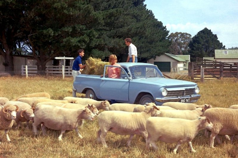 Самые крутые машины с кузовом "ute" ute, пикап