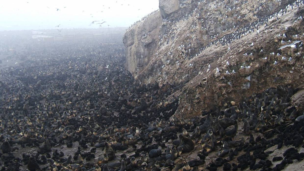 Спасатели привлекли вертолет к поиску пропавших на Сахалине рыбаков