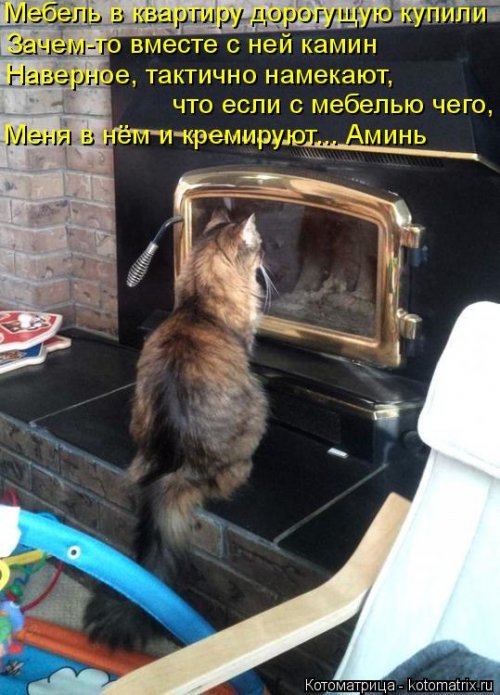 Котоматрицы недели Котоматрицы недели прикольные картинки