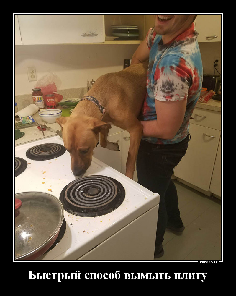 Свежая коллекция юмора для отличного настроения Свежая коллекция юмора для отличного настроения