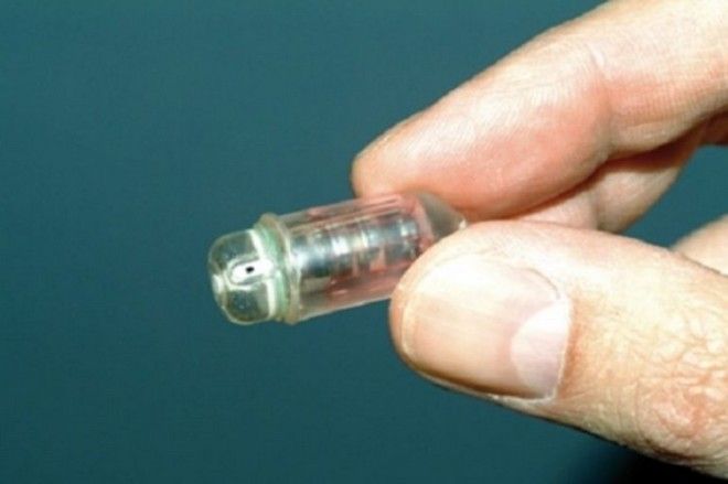Чтобы найти ответ, исследователям понадобилась микрокамера. Чтобы найти ответ исследователям понадобилась микрокамера