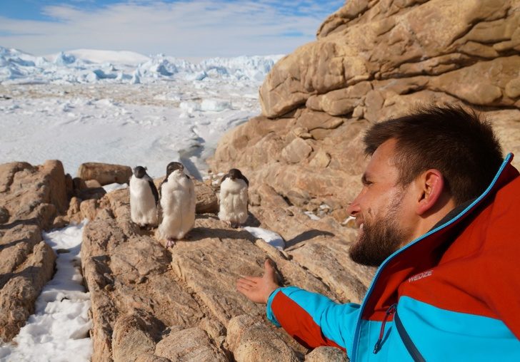 Развеиваем 5 мифов об Антарктиде, в которые верят примерно все антарктида,заграница,история,отдых,турист