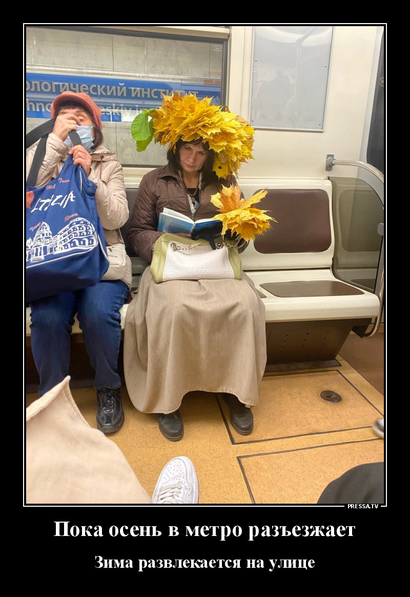 Свежая коллекция юмора для отличного настроения Свежая коллекция юмора для отличного настроения