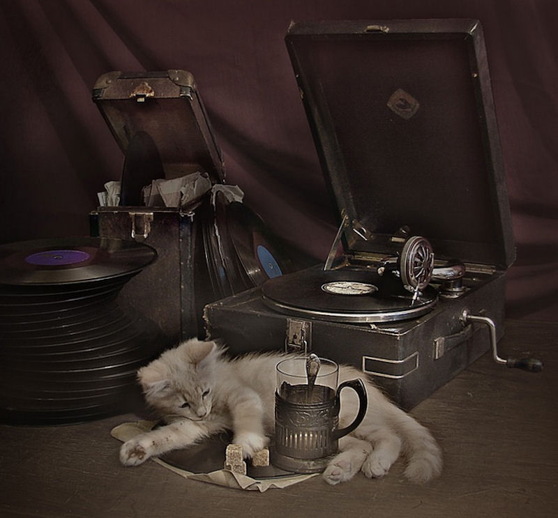 Граммофон и патефон как предмет декора винтажного интерьера Граммофон и патефон как предмет декора винтажного интерьера идеи для дома,интерьер и дизайн