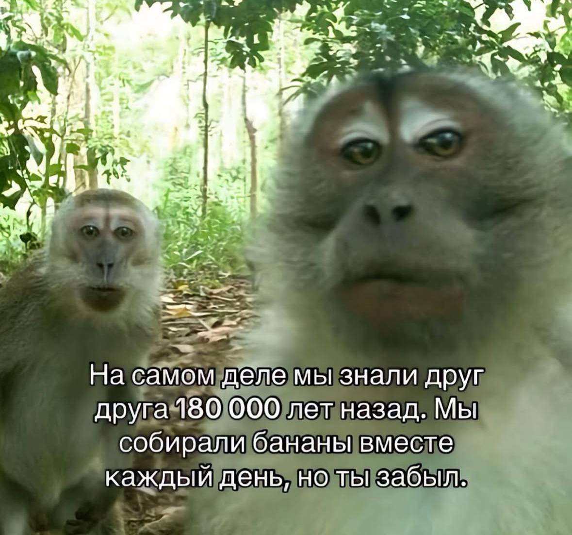 Смешные картинки с надписями и парни с ногами Смешные картинки с надписями и парни с ногами