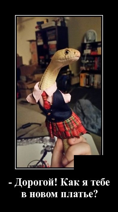 Самые новые демотиваторы демотиваторы