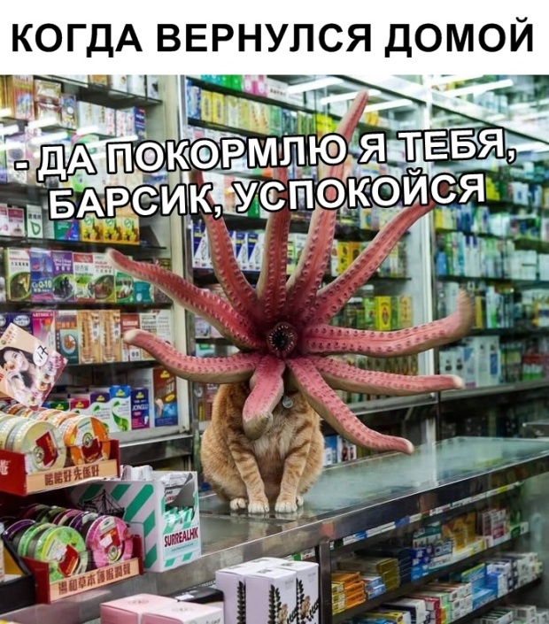 Вот такие семейные традиции)) Вот такие семейные традиции)) анекдоты,веселье,демотиваторы,приколы,смех,юмор