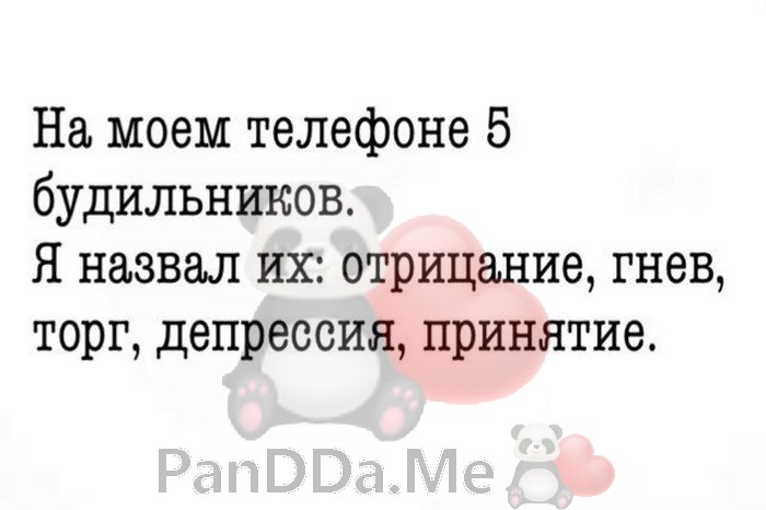 Очередная подборка из 15 добрых и смешных историй спешит порадовать вас 