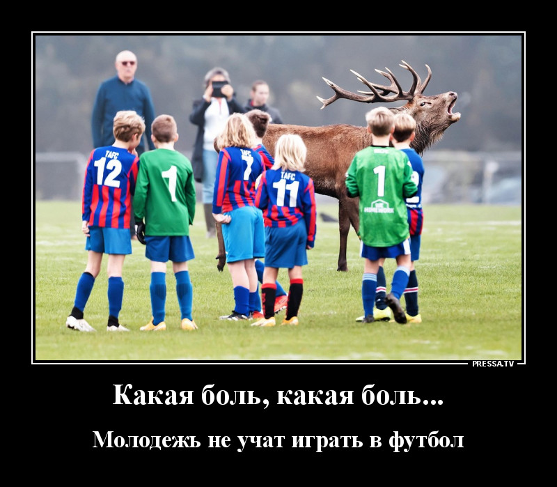 Свежая коллекция юмора для отличного настроения Свежая коллекция юмора для отличного настроения