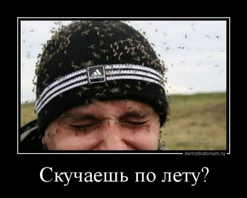 Новые, прикольные демотиваторы на любой вкус 