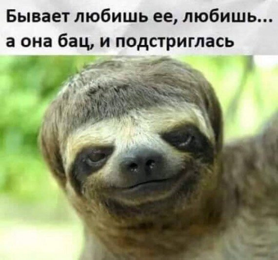 Улыбаемся шире!