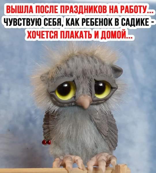 Ничто так не ориентирует человека на местности, как поиски туалета анекдоты,веселье,демотиваторы,приколы,смех,юмор