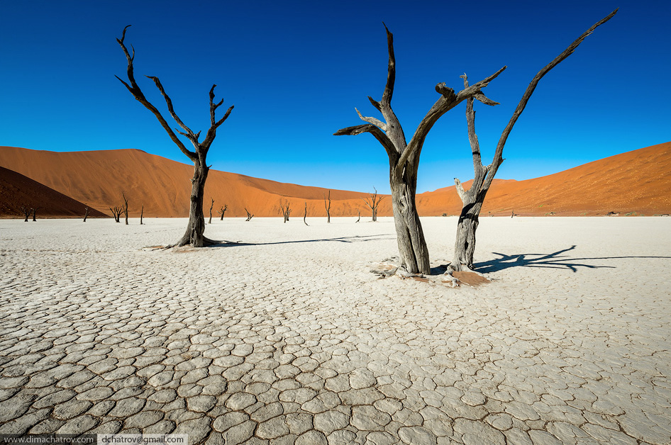 Пустыня Намиб. «Мертвое болото» Пустыня Намиб. «Мертвое болото» путешествия