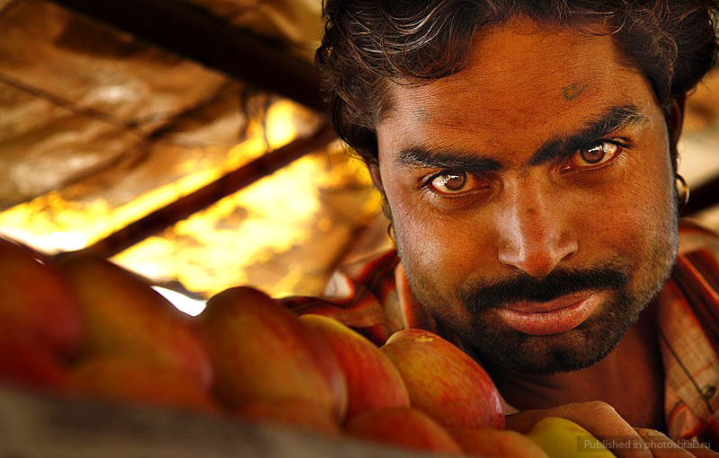 Hindutva. Индийский проповедник. Экклесиаст проповедник. Саи баба индийский святой. Индийский проповедник.