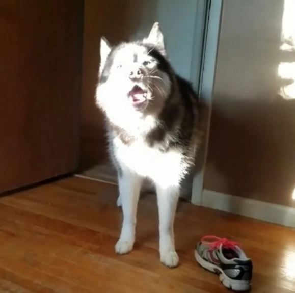 676