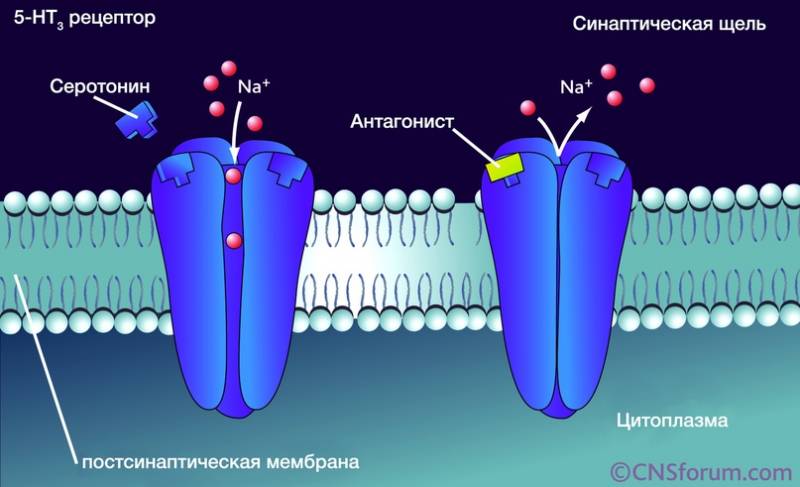 Нервно-паралитические ОВ. Пестициды и диверсионные яды оружие