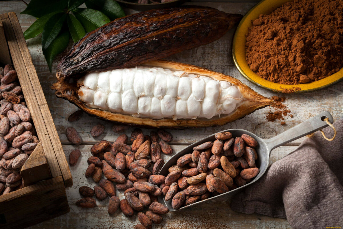 За что диетологи ценят какао и как правильно его пить?