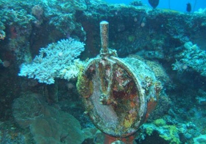 10 невероятных находок, обнаруженных под водой