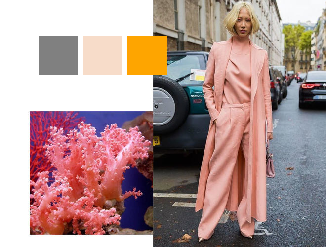 Актуальные цвета этой осени Актуальные цвета этой осени мода и красота,модные образы,модные тенденции,цвет