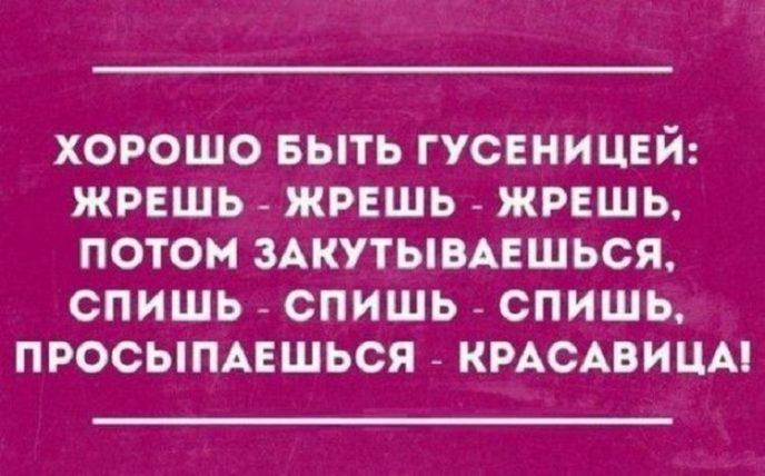26 прикольных открыток от мастеров сарказма 26 прикольных открыток от мастеров сарказма