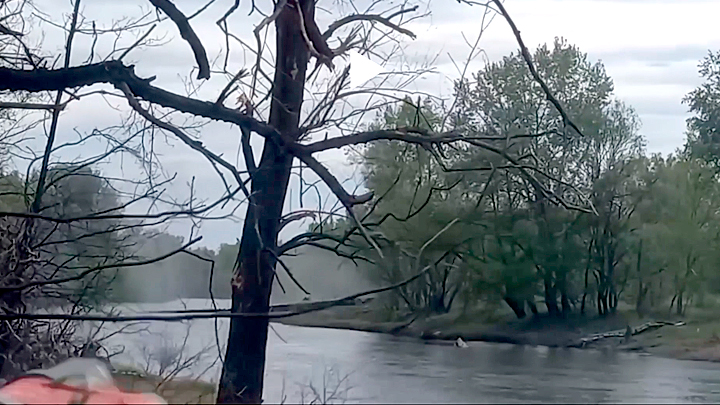 РАНЕНЫЙ ВИКТОР ЧЕРЕМНЫХ ПОГИБ, СПАСАЯ КОМАНДИРА ПОЛКА РАНЕНЫЙ ВИКТОР ЧЕРЕМНЫХ ПОГИБ, СПАСАЯ КОМАНДИРА ПОЛКА армия
