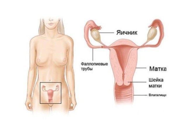 6 вещей, которые нельзя делать во время месячных — это очень опасно! 6 вещей, которые нельзя делать во время месячных — это очень опасно!