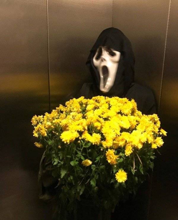 Подборка прикольных картинок  приколы,смешные картинки,юмор