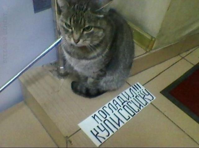 Народный креатив Народный креатив