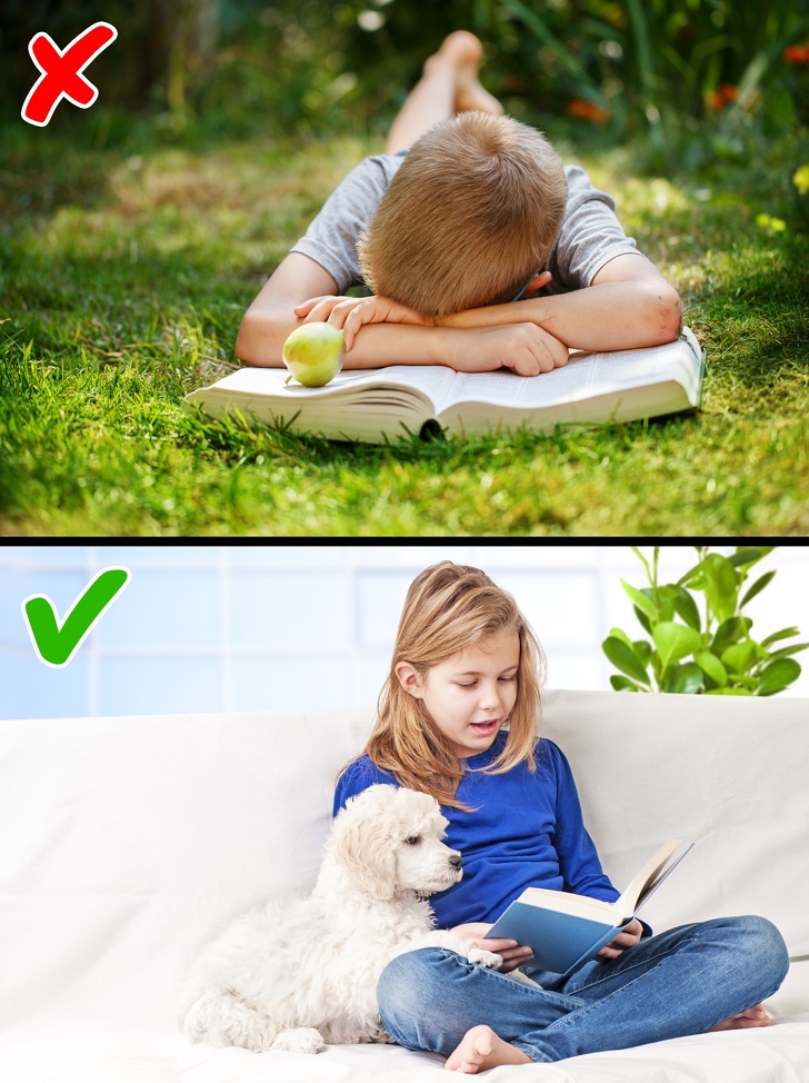 Факторы, влияющие на выбор грызуна