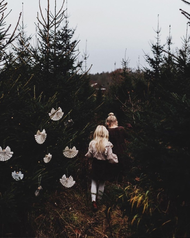 Идеи простых елочных украшений от шведского фотографа Malin Mörner. новогодние украшения,творим с детьми
