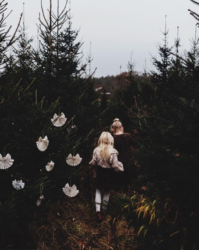 Идеи простых елочных украшений от шведского фотографа Malin Mörner. чтобы, часть, приклейте, концы, ширина, сделать, высота, ангелов, бусину, крылья, Сложите, должно, помощью, большая, юбкам, меньшая, посередине, Приклейте, прорезав, через