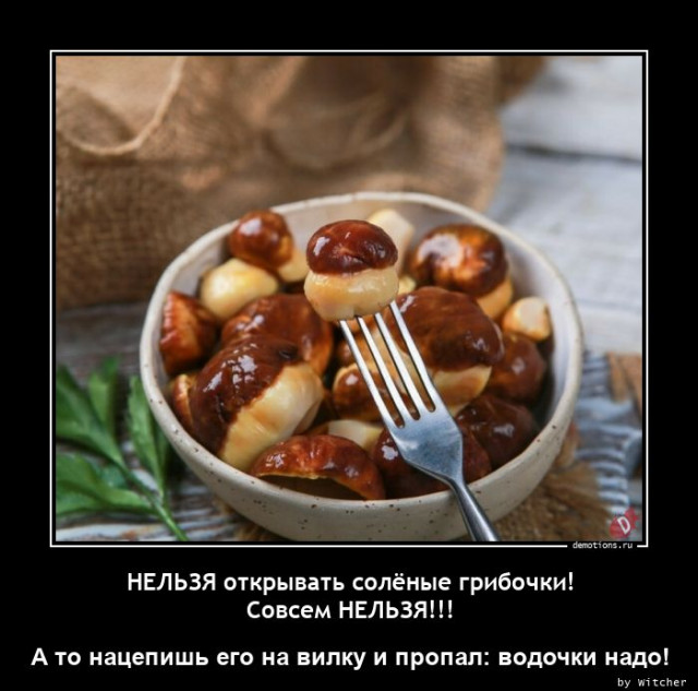 Новогодние демотиваторы 