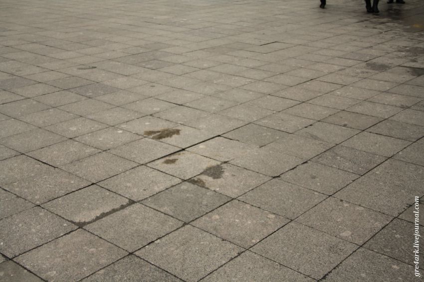 Москва, прогулка, критика, улица