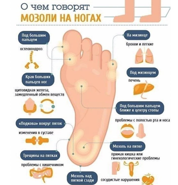 20 полезных шпаргалок о нашем теле, здоровье, еде и хорошей жизни здоровье,памятка,питание