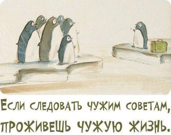 Мудрые мысли в прикольных картинках :) Мудрые мысли в прикольных картинках :)