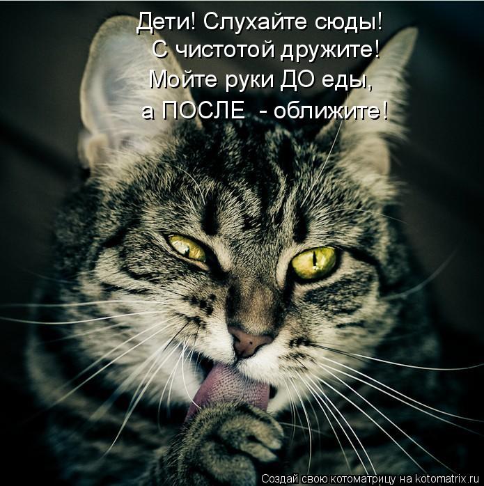 Мысли вслух :)