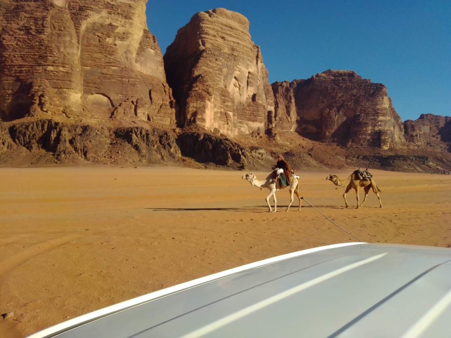 маленький караван в большой пустыне