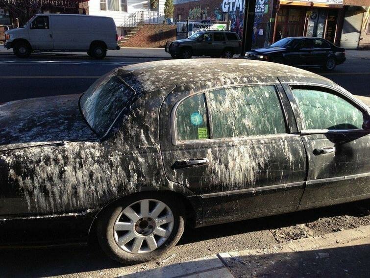 25 неудачников, которые не понаслышке знают, что такое "плохой день" 25 неудачников, которые не понаслышке знают, что такое "плохой день"