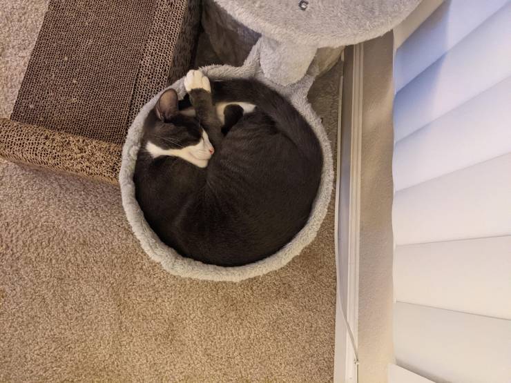 Подборка прикольных картинок Подборка прикольных картинок приколы,смешные картинки,юмор