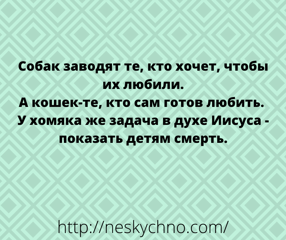 Забавные истории для отличного настроения Забавные истории для отличного настроения